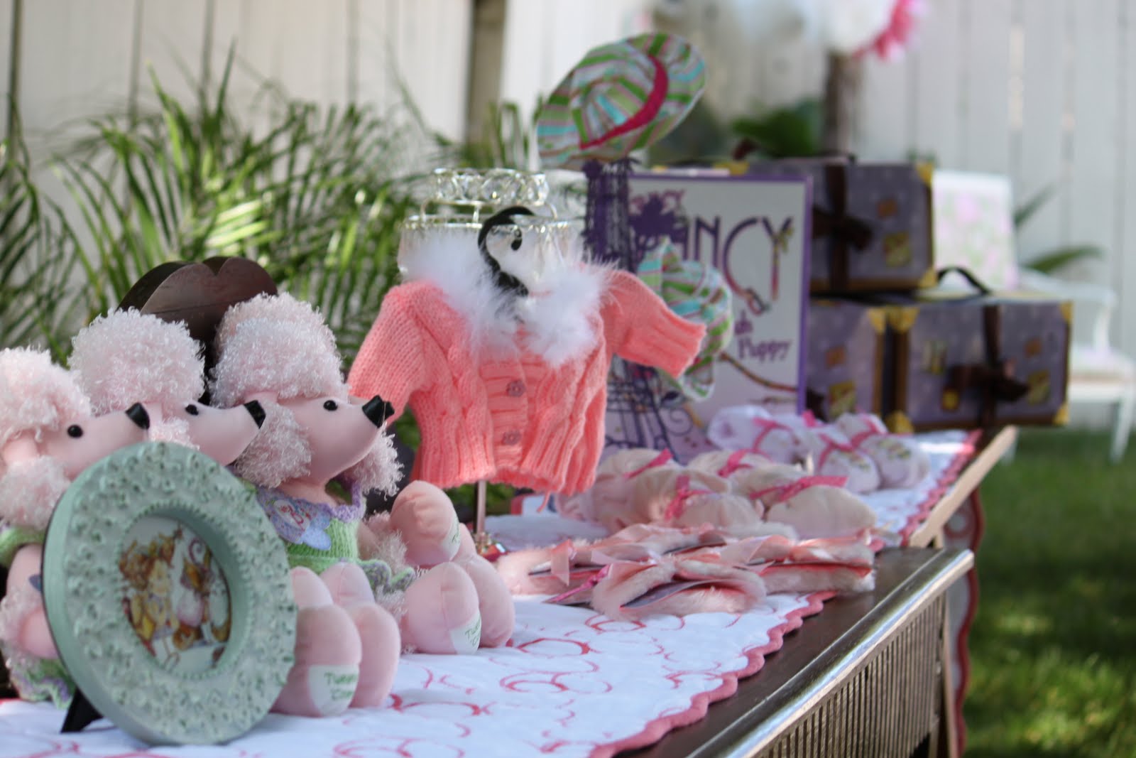 Fancy Nancy Party