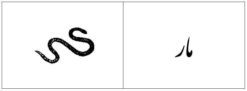 [snake.JPG]