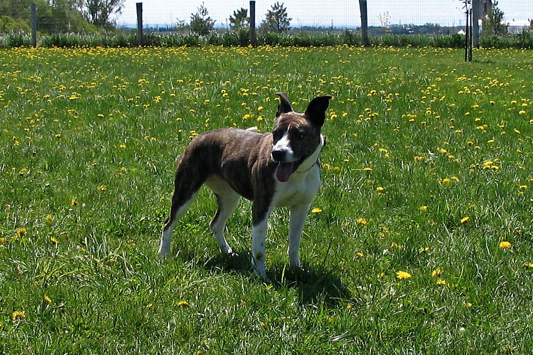 [IMG_4009_edited.JPG]