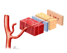 CIRURGIA ONCOPLÁSTICA