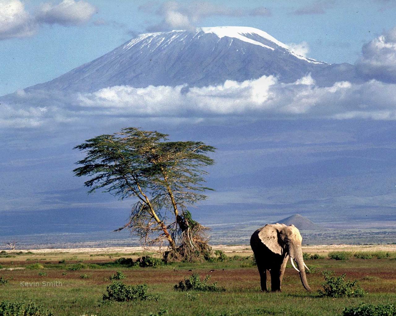 plains_below_kilimanjaro_1280x1024.jpg