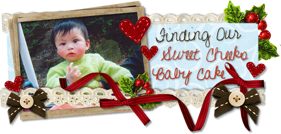 Our Forever Journey of Adoption