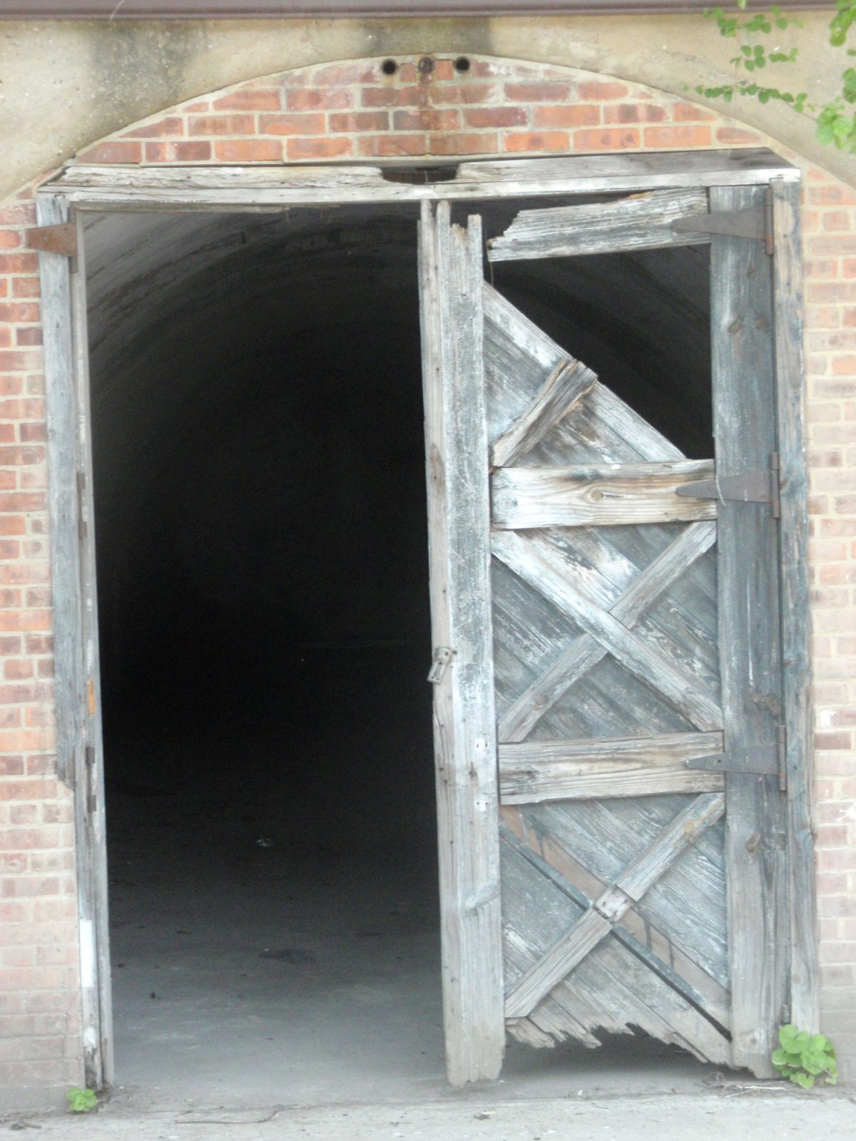 [P5230013.JPG]