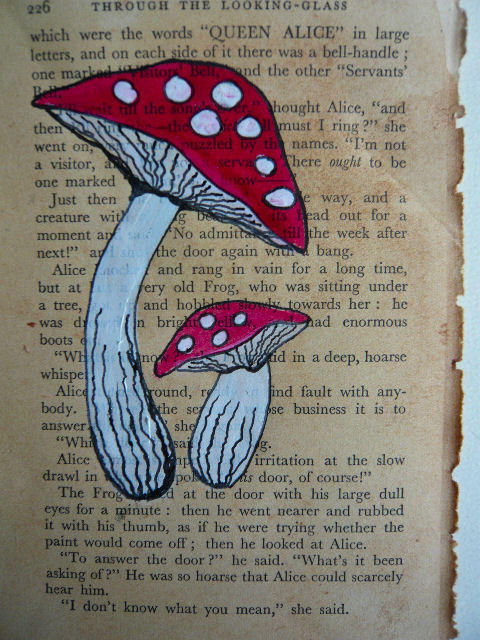 [toadstools+3.jpg]