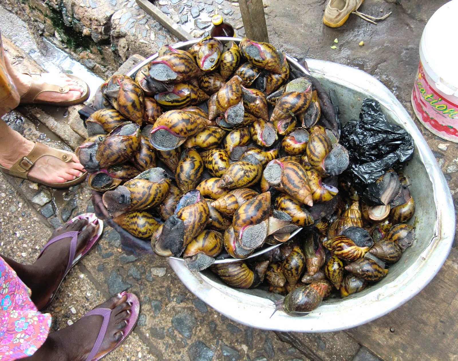 Global Fare Takoradi Market