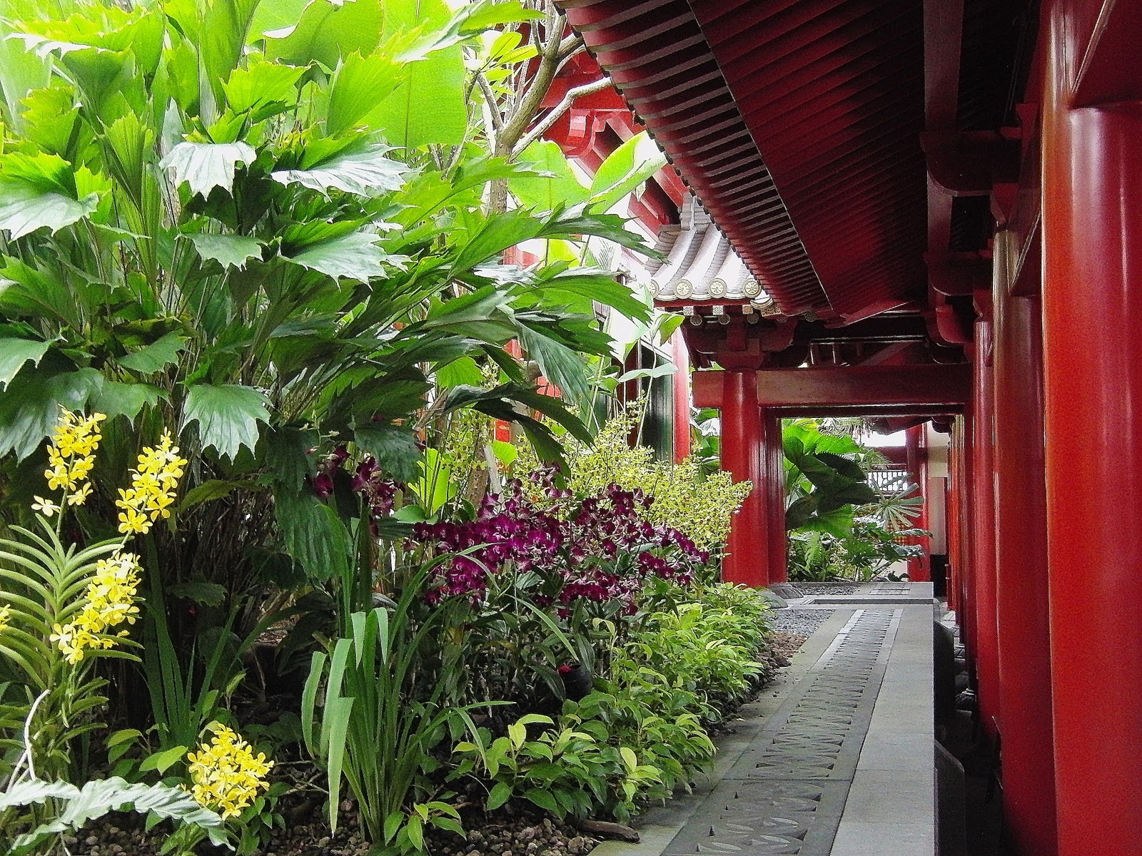 Best Rooftop Gardens