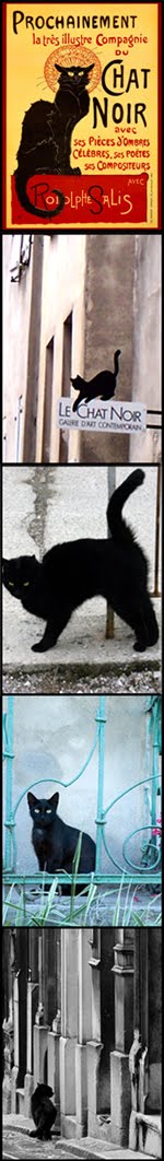 Le Chat Noir <br>Pela Web