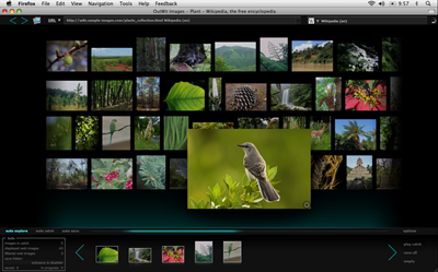 How to download all the images from webpage Photo How to download all the images from webpage