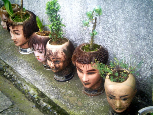 The Hair Hall of Fame: November 2010