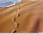 THE FOOTPRINTS OF TIME