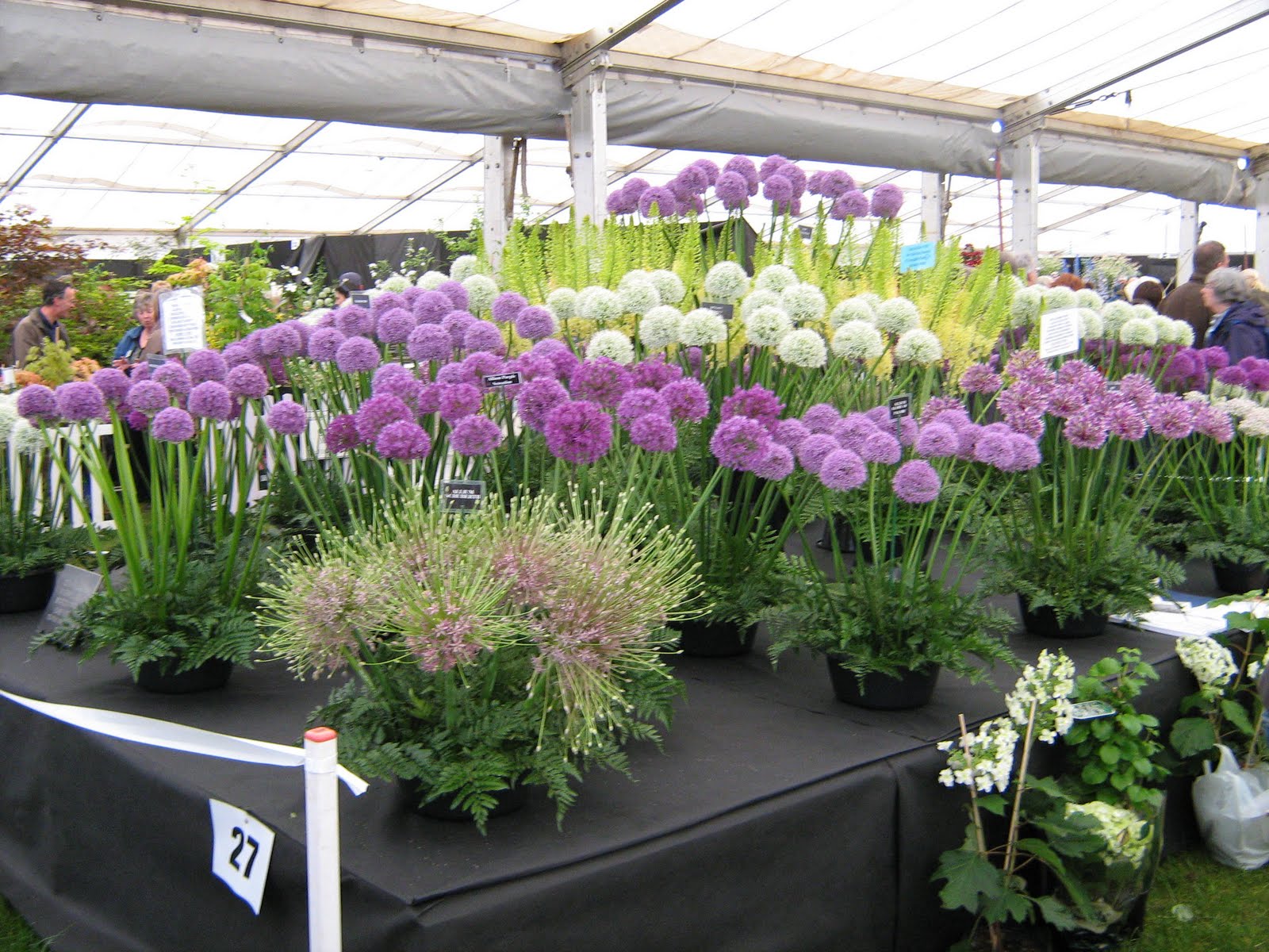 Meet Malvern The Floral Marquee