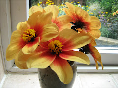 A posy to thank you for your visit