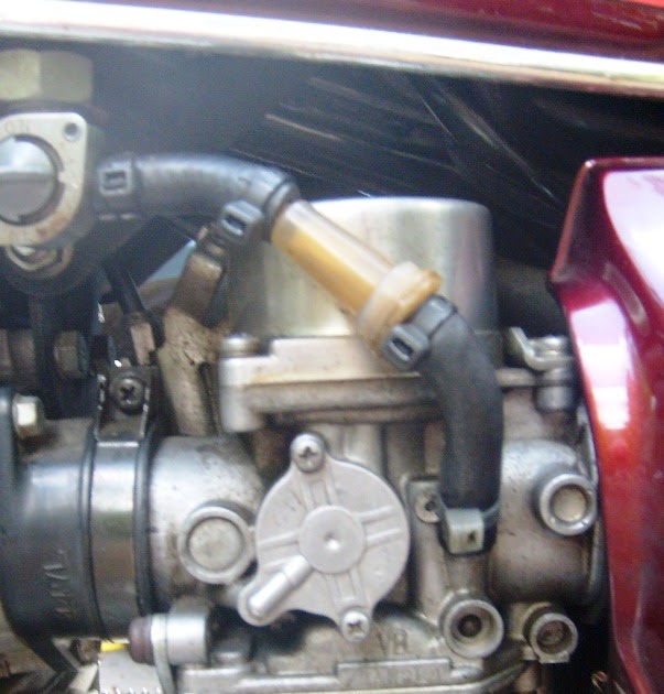 Modern Hillbilly Dirty, Dirty Carbs