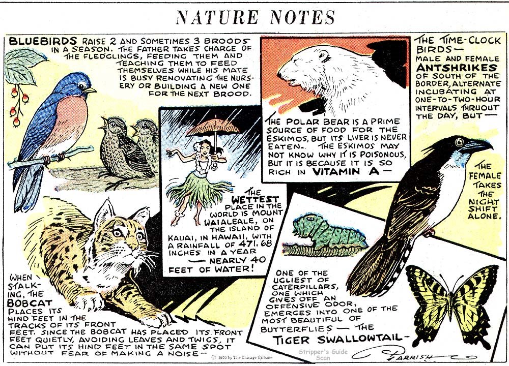 [naturenotes1.jpg]