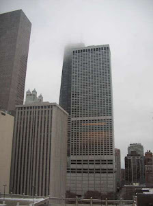 Ashley's view of Water Tower Place from Northwestern Hospital