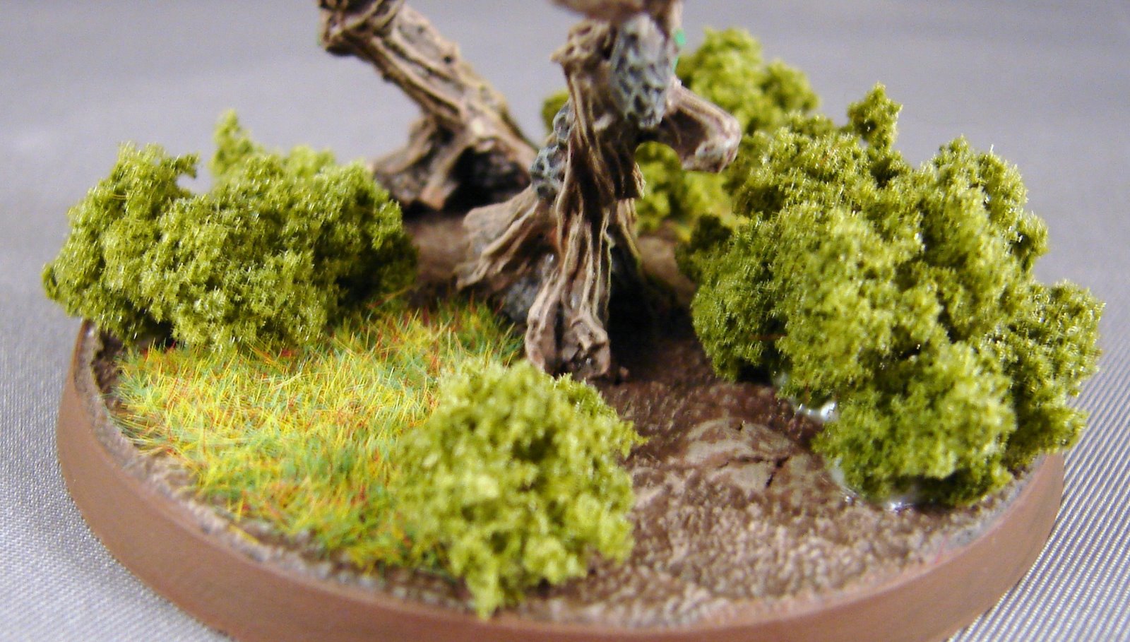[Ent+003.JPG]