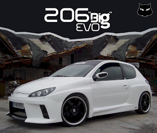 206_big_evo_tuning_kit_evo_vvvv.jpg