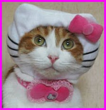 Welcome to My Blog!