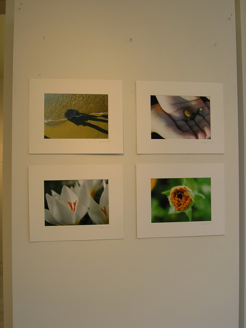 [P6240006.JPG]
