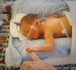 Holding Daddy's hand