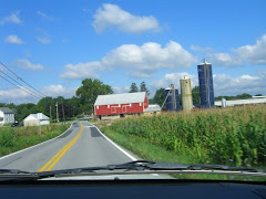 Mennonite Farm