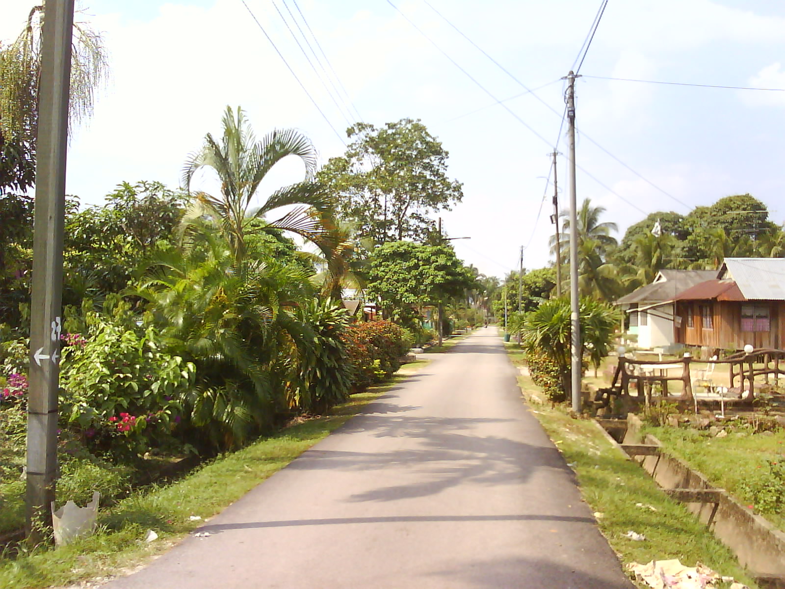[DSC09831.JPG]