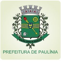 .paulinia.sp.gov