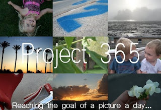 Project 365