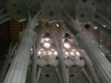 ceiling in sagrada familia