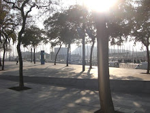 port vell along beach