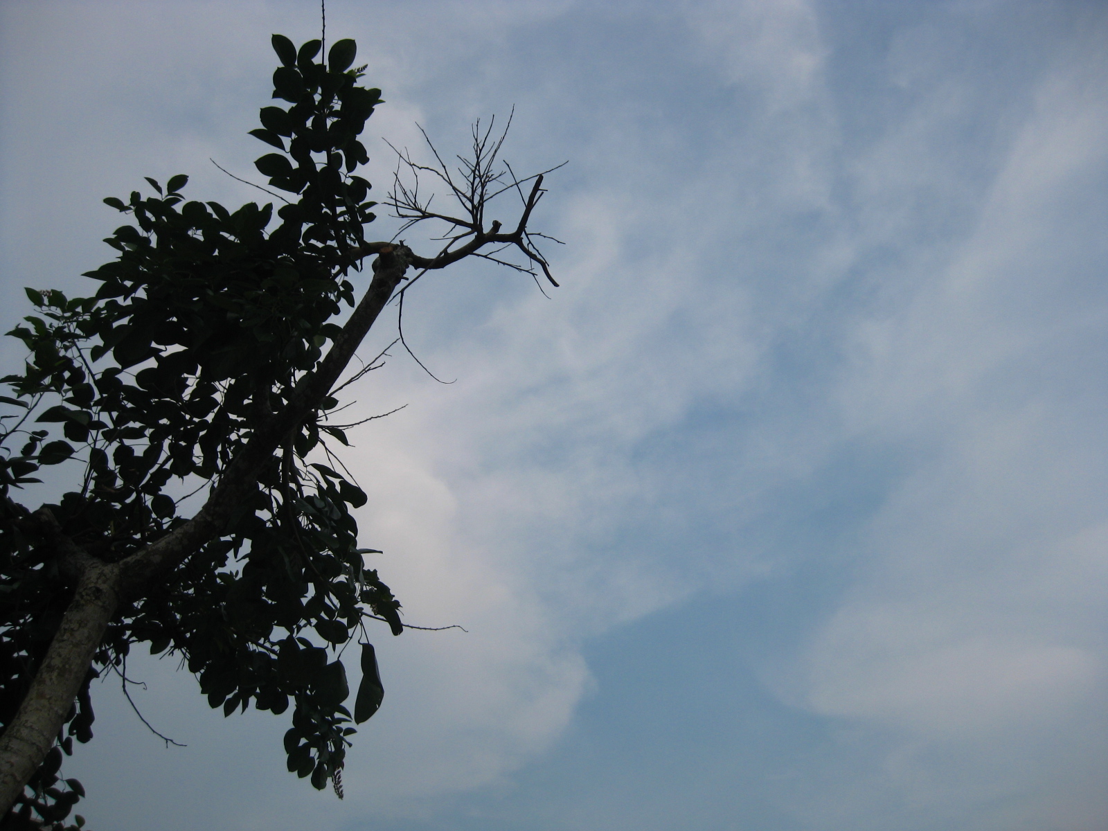 [IMG_7982.JPG]