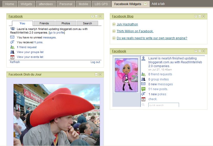 [facebook+widgets.jpg]