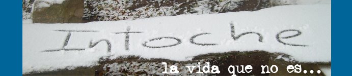 La vida que no es...