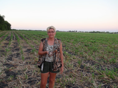 my wife's first dove ever