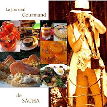 Vous pourrez me retrouver sur mon blog principal : Le journal gourmand de Sacha