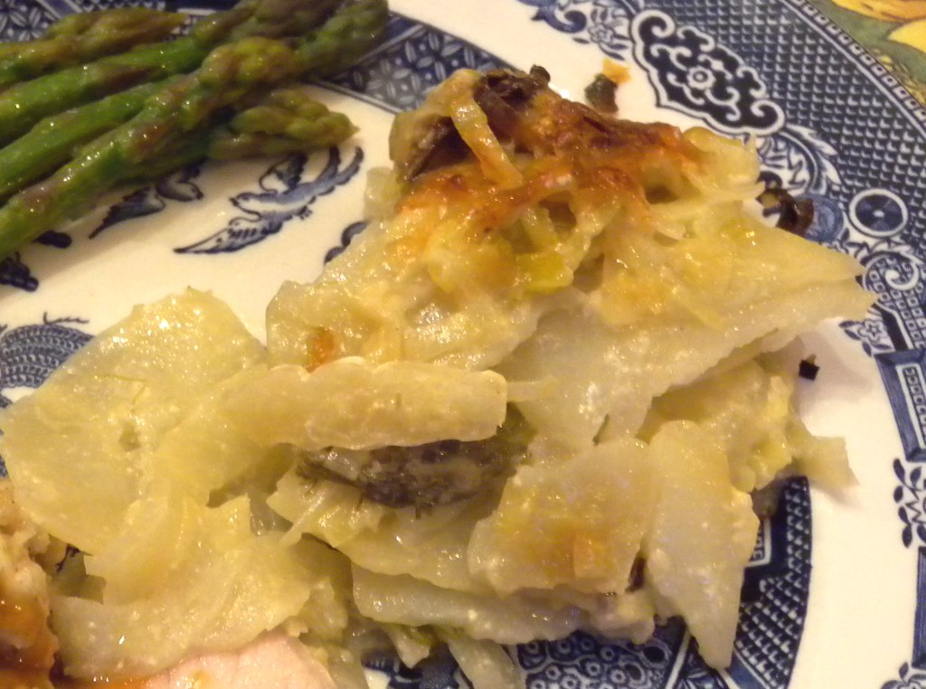 fennel gratin