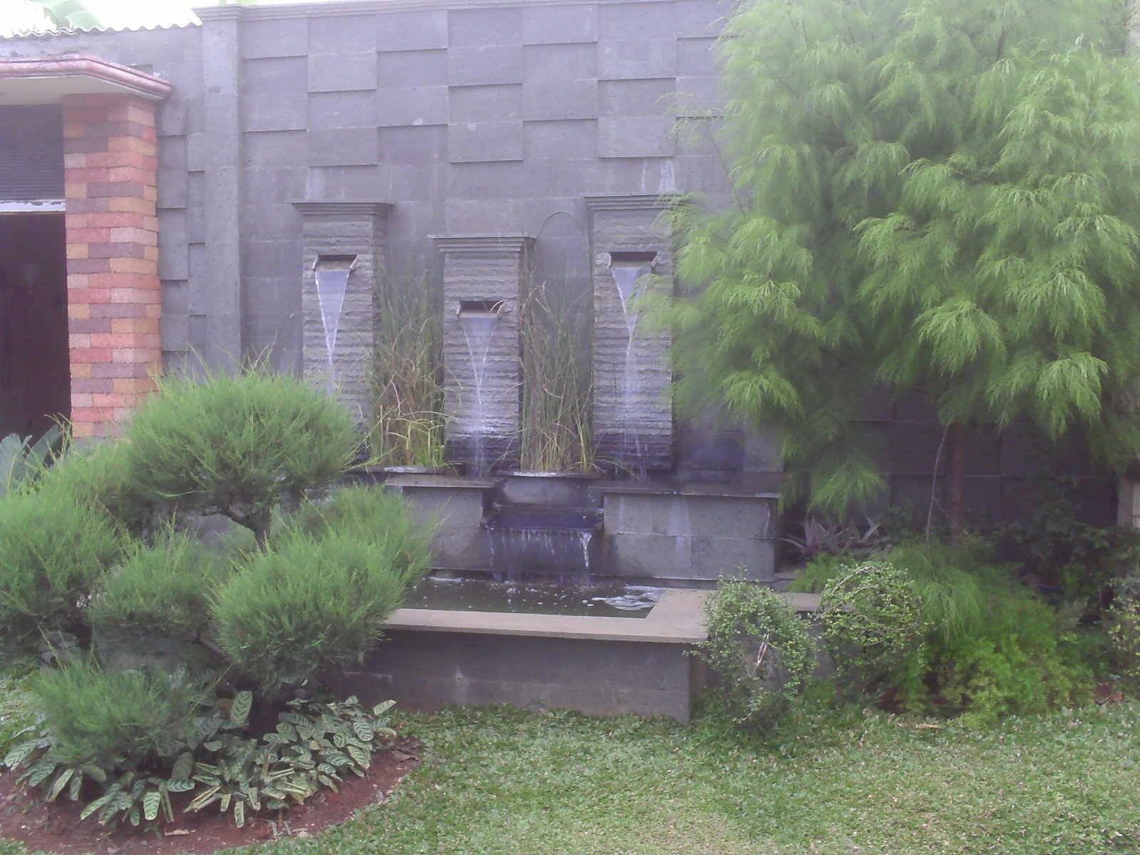 [PICT0329.JPG]
