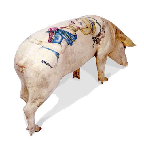 A Belgian conceptual artist tattoos pigs out on in farm in China. A Belgian conceptual artist tattoos pigs out on in farm in China.