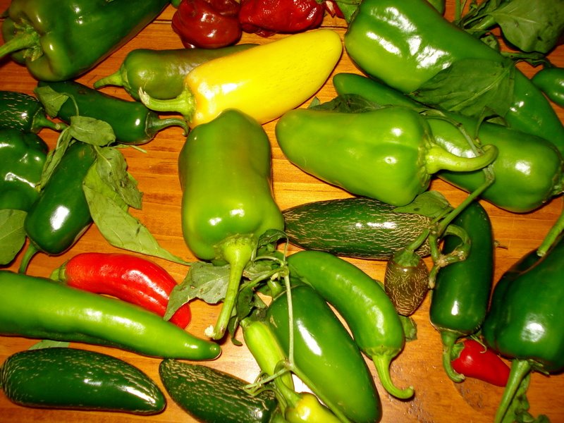 [Peppers.JPG]