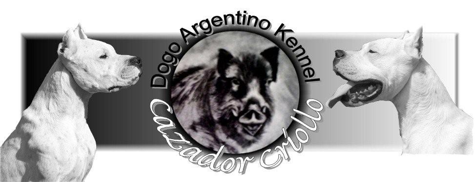 Cazador-Criollo  Puppies from Mapuche and Angelita