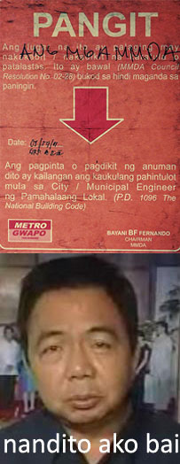 Where in the Philippines is Bayani Fernando?