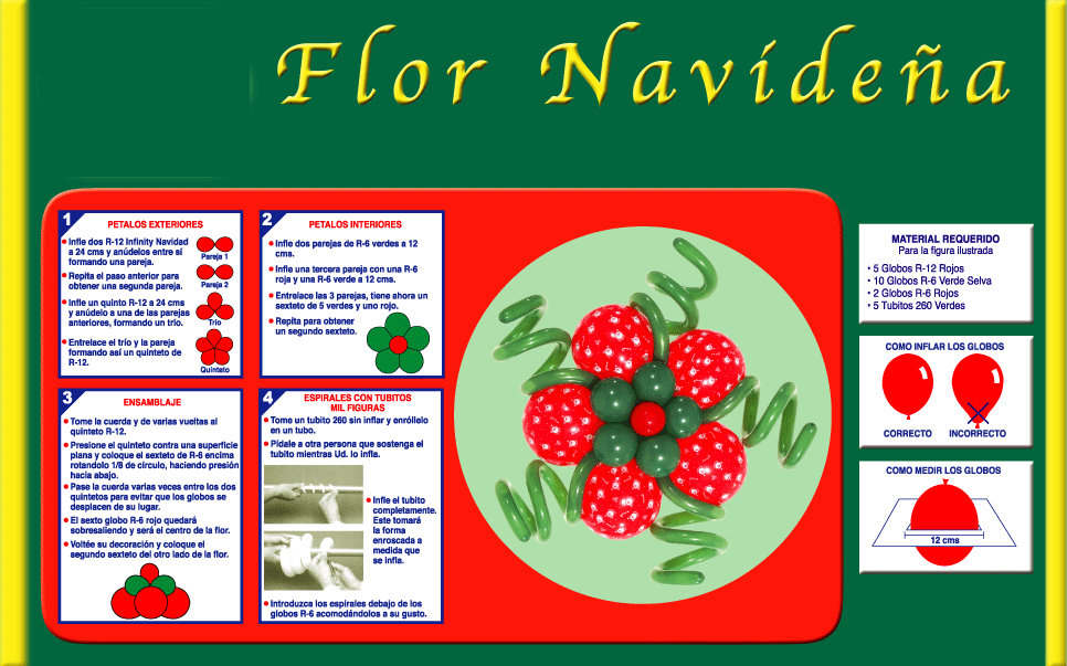 [1+FLOR+NAVIDEÑA.jpg]