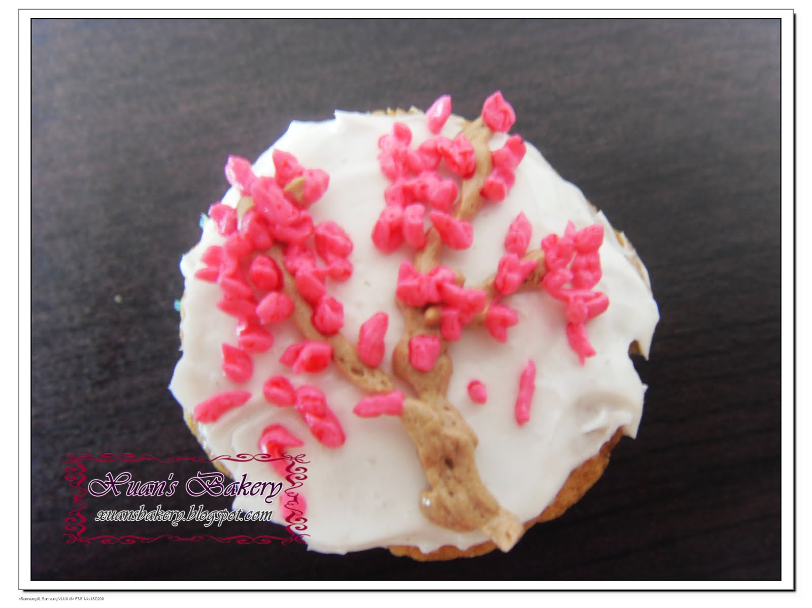 [Copy+of+SDC12288.JPG]