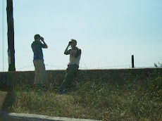 Synchronised birding competition failure