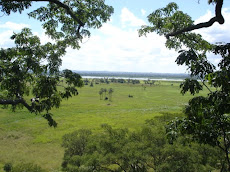 View from Treehouse