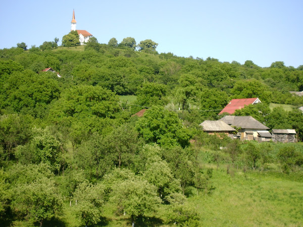 VĂ   MULŢUMESC PENTRU VIZITĂ ŞI VĂ MAI AŞTEPT !