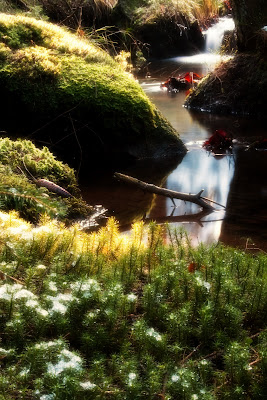 Ars Vivendi Januar 2008