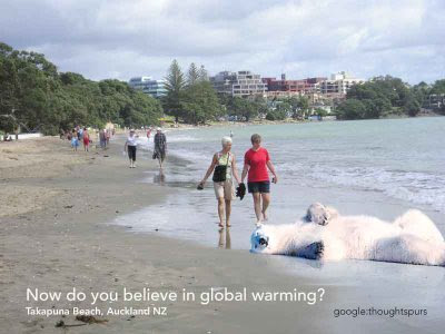 polar bear suffers from global warming