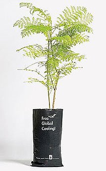 [plante_arvore_main.jpg]