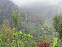 Farming in East Java in the foothills near Mount Bromo.